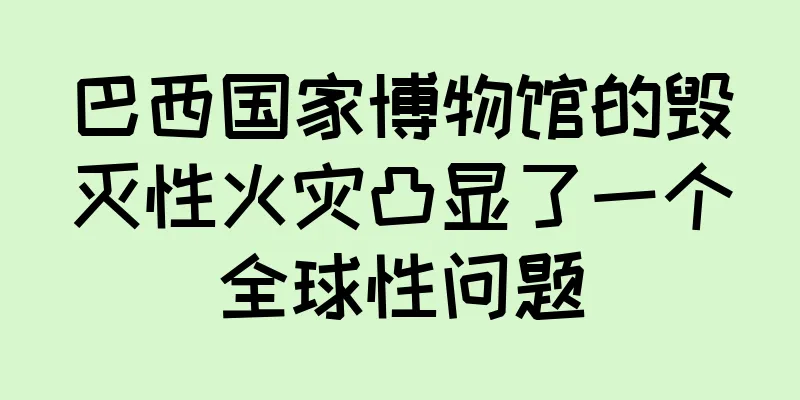 巴西国家博物馆的毁灭性火灾凸显了一个全球性问题