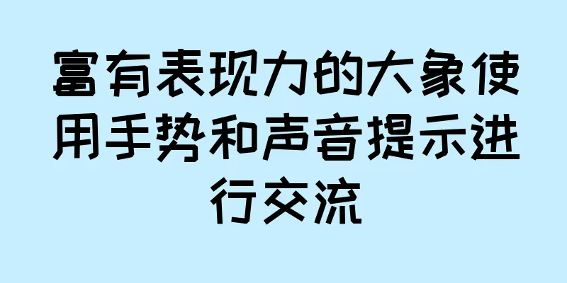 富有表现力的大象使用手势和声音提示进行交流