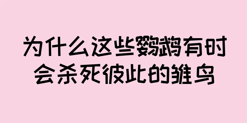 为什么这些鹦鹉有时会杀死彼此的雏鸟