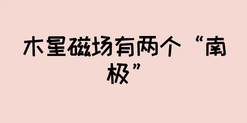 木星磁场有两个“南极”