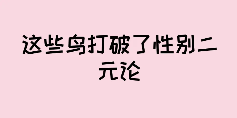 这些鸟打破了性别二元论