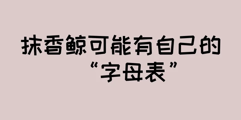 抹香鲸可能有自己的“字母表”