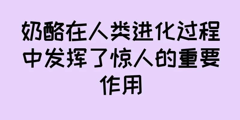 奶酪在人类进化过程中发挥了惊人的重要作用