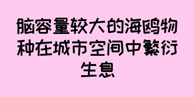 脑容量较大的海鸥物种在城市空间中繁衍生息