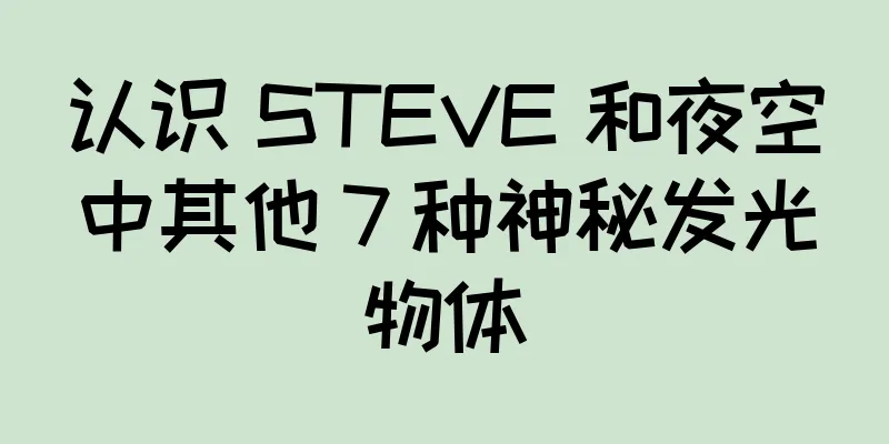 认识 STEVE 和夜空中其他 7 种神秘发光物体