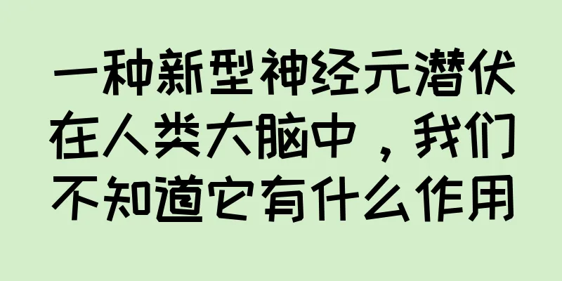 一种新型神经元潜伏在人类大脑中，我们不知道它有什么作用