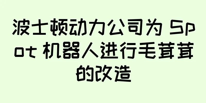波士顿动力公司为 Spot 机器人进行毛茸茸的改造