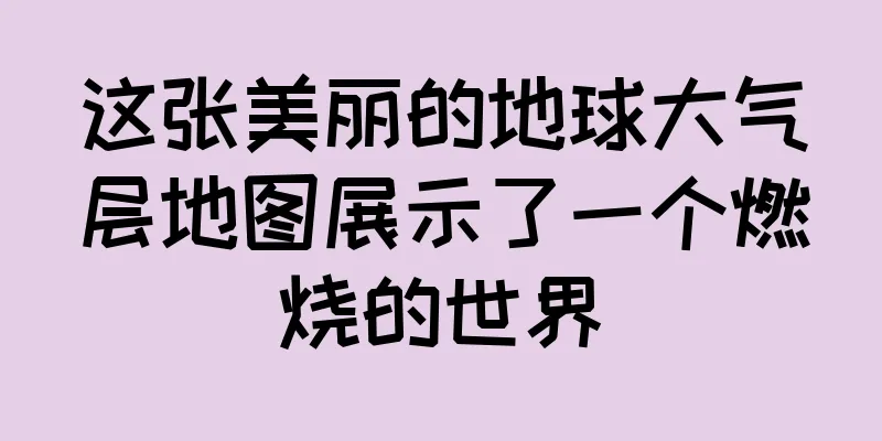 这张美丽的地球大气层地图展示了一个燃烧的世界