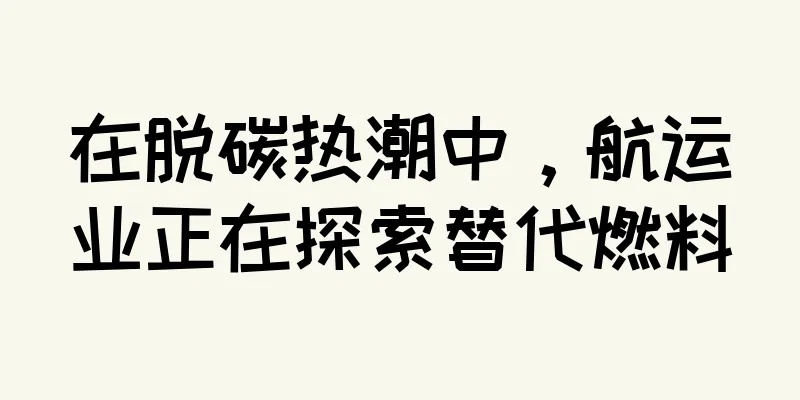 在脱碳热潮中，航运业正在探索替代燃料
