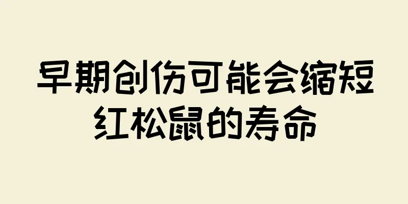 早期创伤可能会缩短红松鼠的寿命