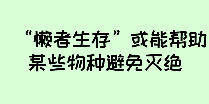 “懒者生存”或能帮助某些物种避免灭绝