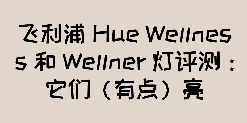飞利浦 Hue Wellness 和 Wellner 灯评测：它们（有点）亮