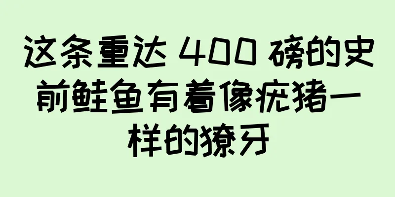 这条重达 400 磅的史前鲑鱼有着像疣猪一样的獠牙