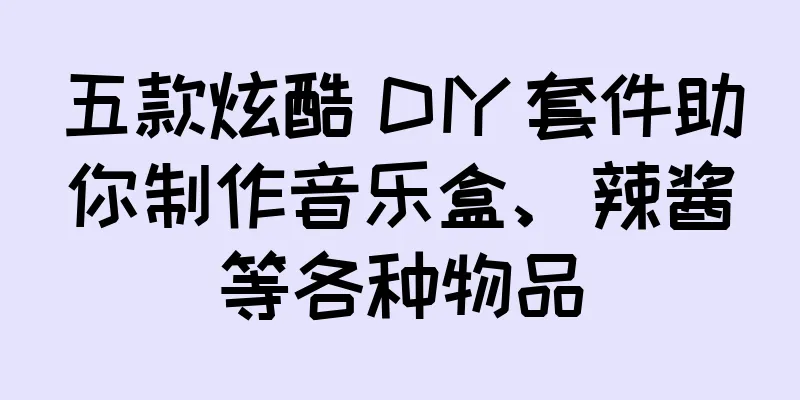 五款炫酷 DIY 套件助你制作音乐盒、辣酱等各种物品