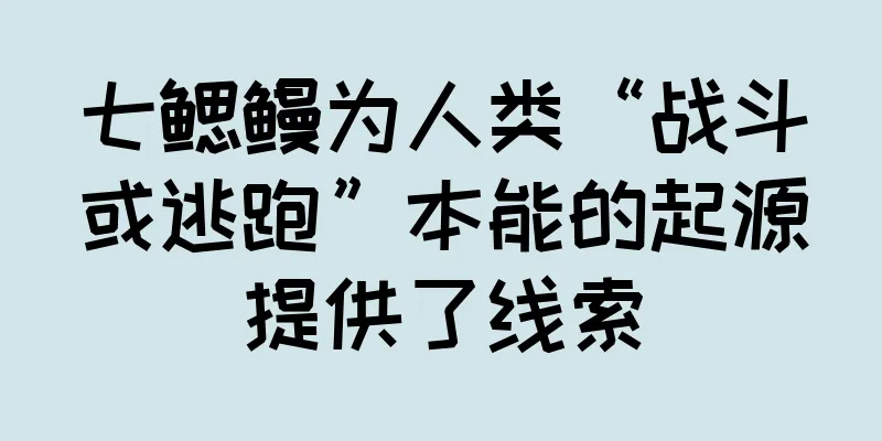 七鳃鳗为人类“战斗或逃跑”本能的起源提供了线索