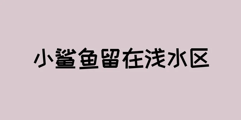 小鲨鱼留在浅水区