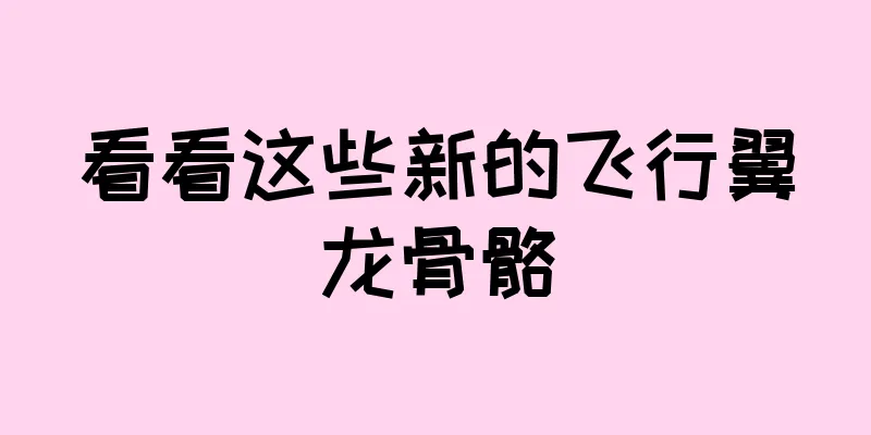 看看这些新的飞行翼龙骨骼