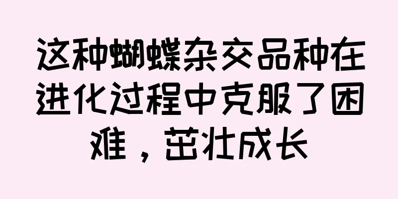 这种蝴蝶杂交品种在进化过程中克服了困难，茁壮成长