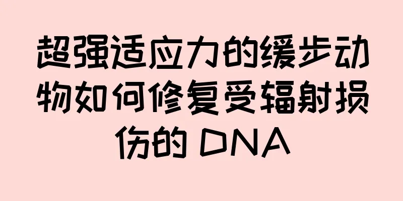 超强适应力的缓步动物如何修复受辐射损伤的 DNA