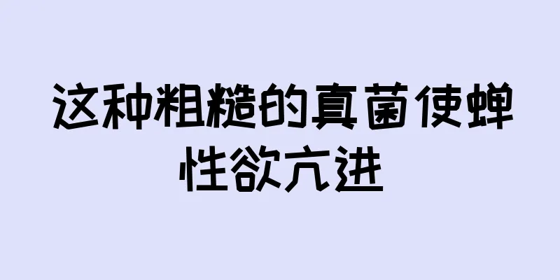 这种粗糙的真菌使蝉性欲亢进
