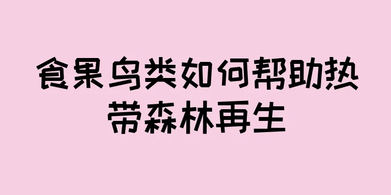 食果鸟类如何帮助热带森林再生