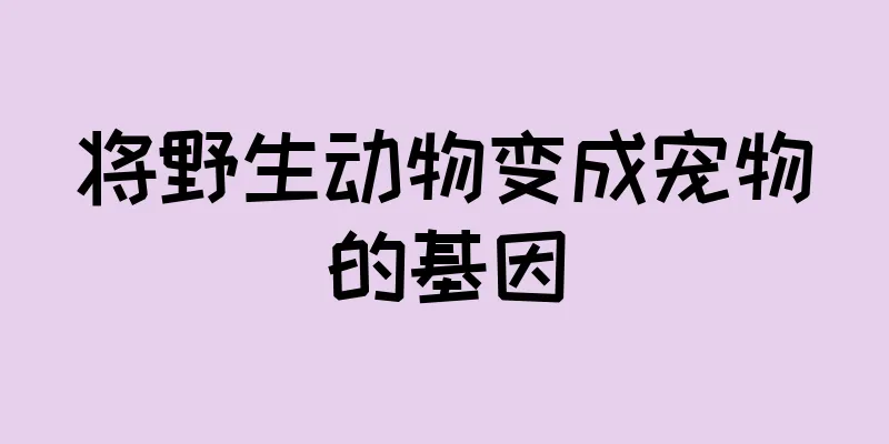 将野生动物变成宠物的基因