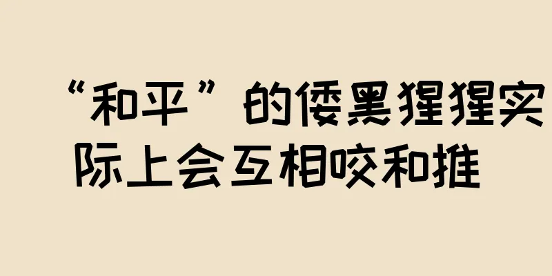“和平”的倭黑猩猩实际上会互相咬和推