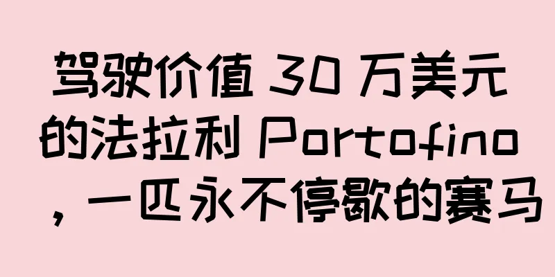 驾驶价值 30 万美元的法拉利 Portofino，一匹永不停歇的赛马