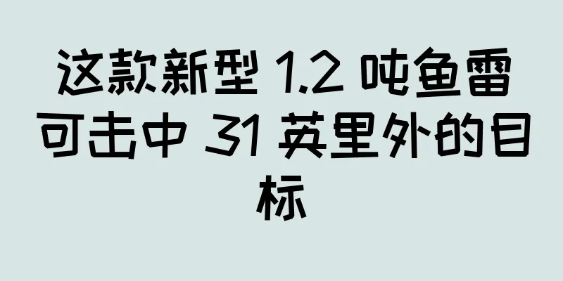 这款新型 1.2 吨鱼雷可击中 31 英里外的目标