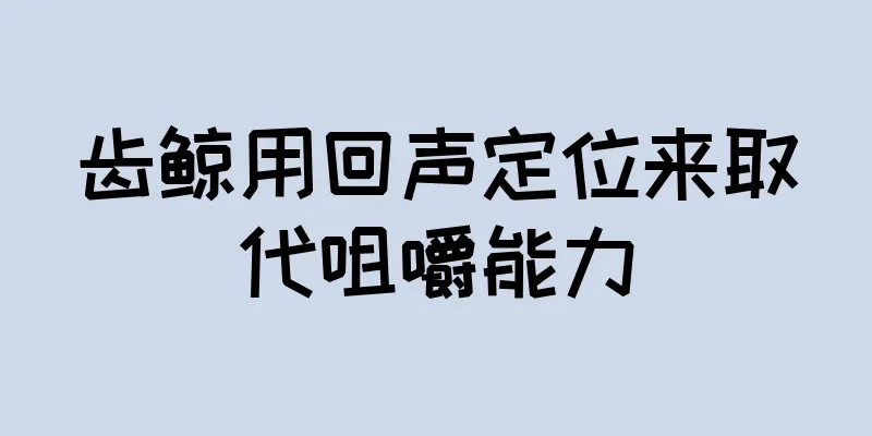 齿鲸用回声定位来取代咀嚼能力