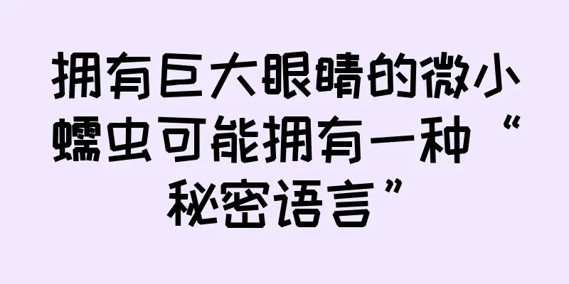 拥有巨大眼睛的微小蠕虫可能拥有一种“秘密语言”