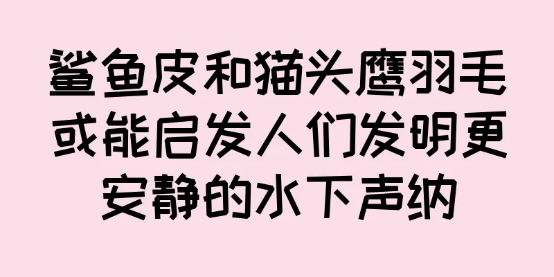 鲨鱼皮和猫头鹰羽毛或能启发人们发明更安静的水下声纳