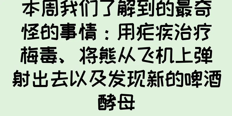 本周我们了解到的最奇怪的事情：用疟疾治疗梅毒、将熊从飞机上弹射出去以及发现新的啤酒酵母