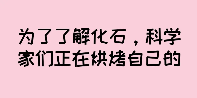为了了解化石，科学家们正在烘烤自己的