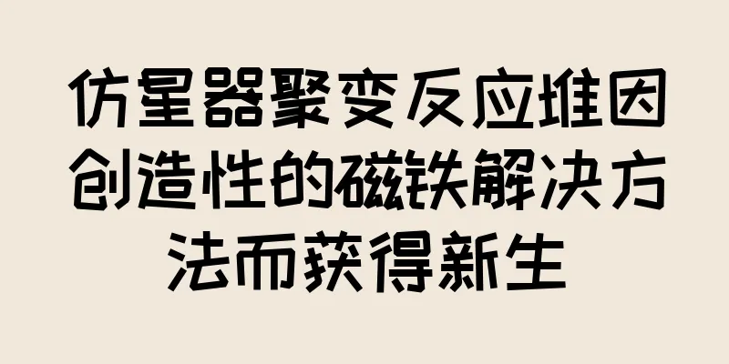 仿星器聚变反应堆因创造性的磁铁解决方法而获得新生