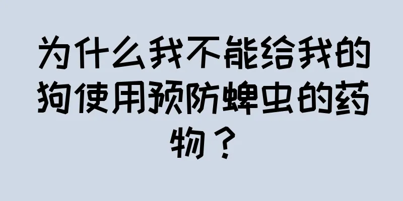 为什么我不能给我的狗使用预防蜱虫的药物？