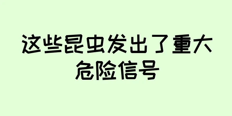 这些昆虫发出了重大危险信号