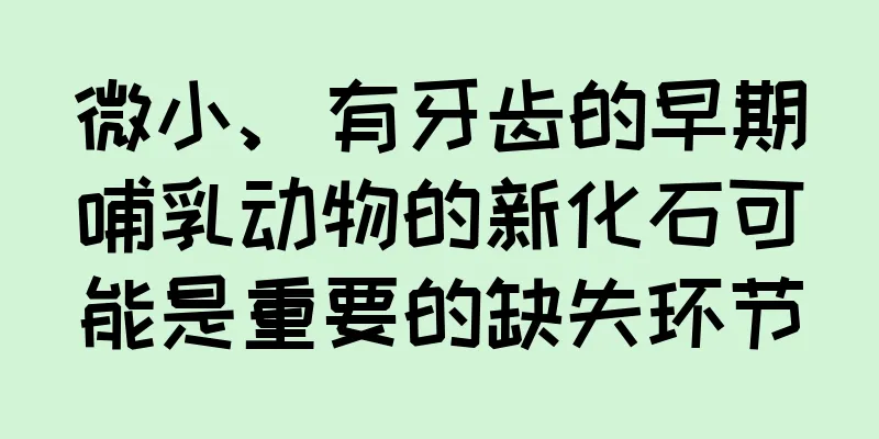 微小、有牙齿的早期哺乳动物的新化石可能是重要的缺失环节