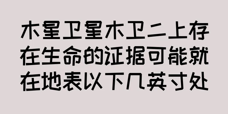 木星卫星木卫二上存在生命的证据可能就在地表以下几英寸处