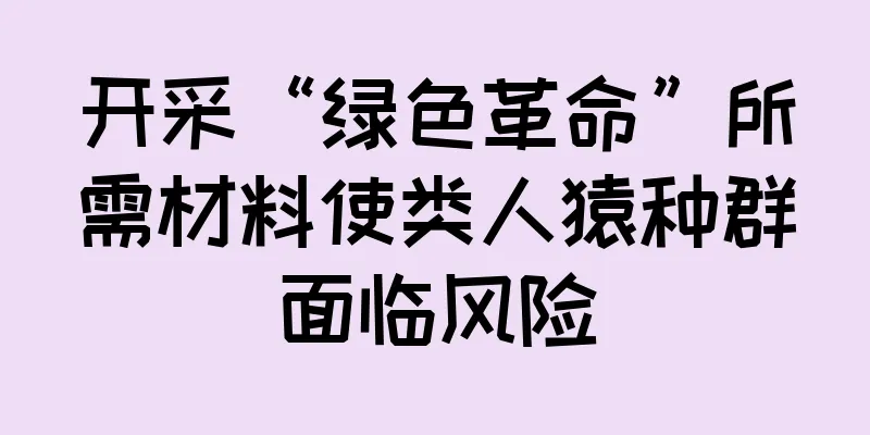 开采“绿色革命”所需材料使类人猿种群面临风险