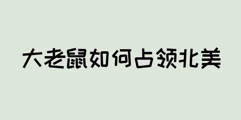 大老鼠如何占领北美