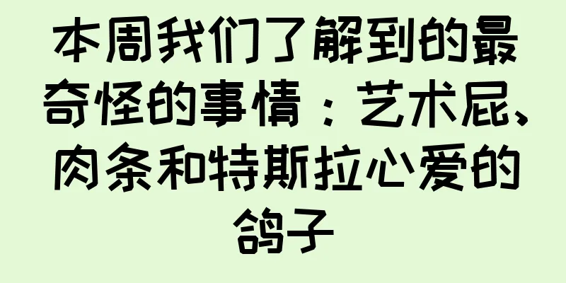 本周我们了解到的最奇怪的事情：艺术屁、肉条和特斯拉心爱的鸽子