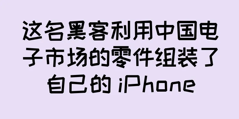 这名黑客利用中国电子市场的零件组装了自己的 iPhone