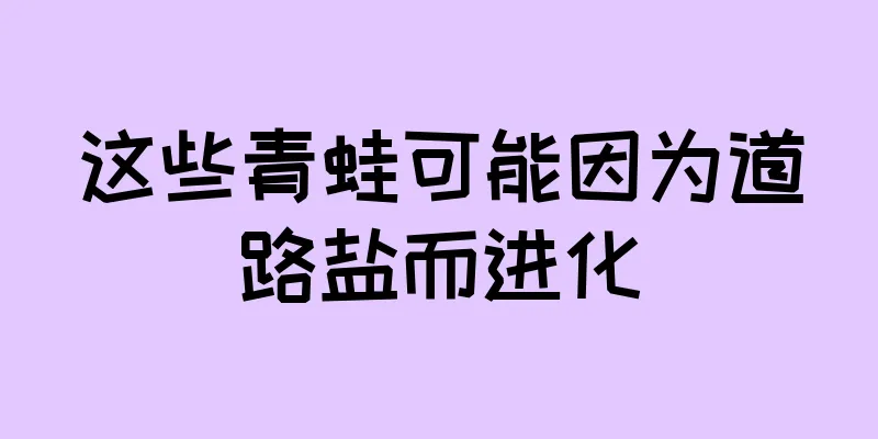 这些青蛙可能因为道路盐而进化