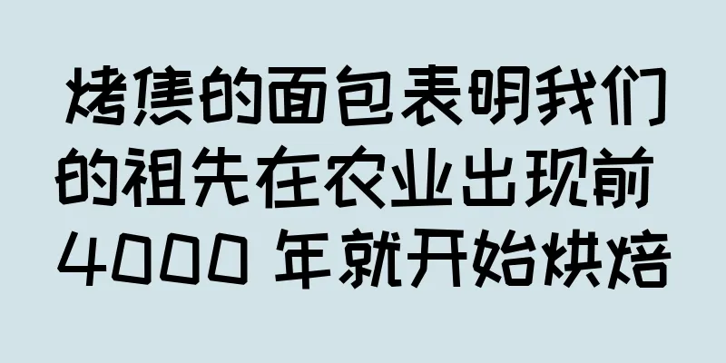 烤焦的面包表明我们的祖先在农业出现前 4000 年就开始烘焙