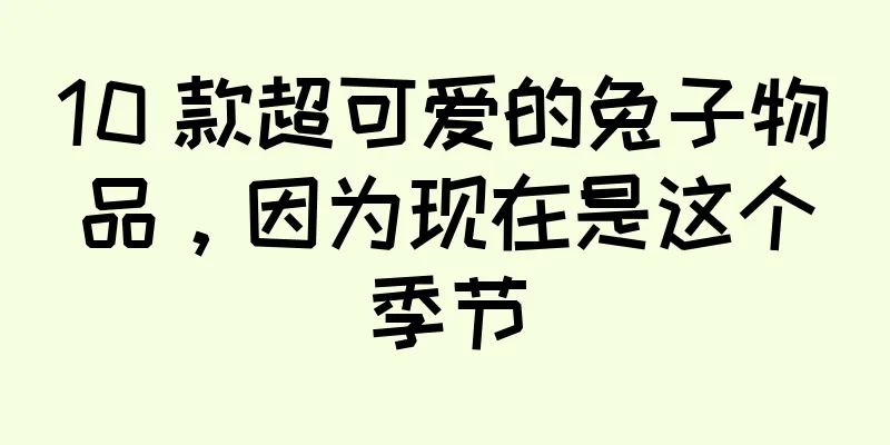 10 款超可爱的兔子物品，因为现在是这个季节