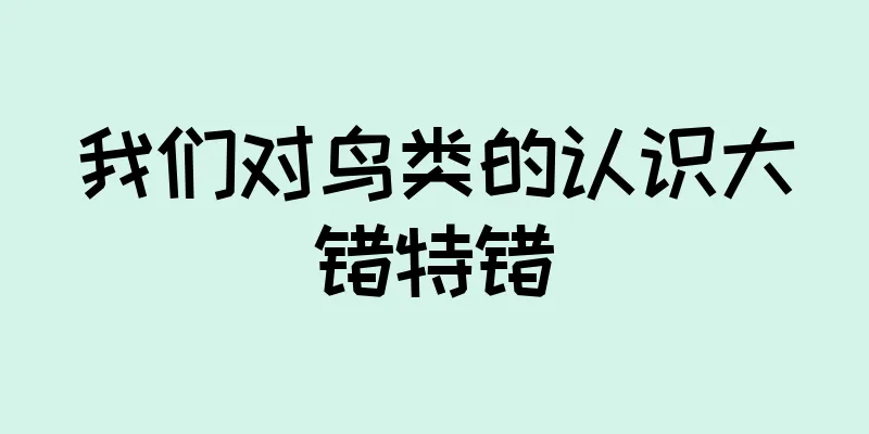 我们对鸟类的认识大错特错