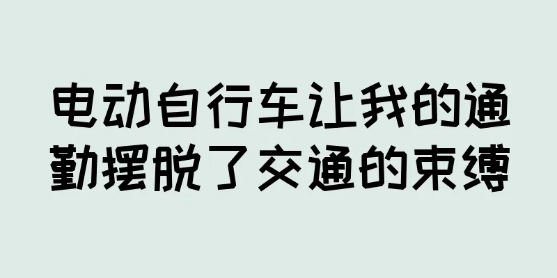 电动自行车让我的通勤摆脱了交通的束缚