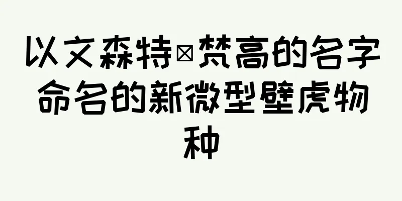 以文森特·梵高的名字命名的新微型壁虎物种