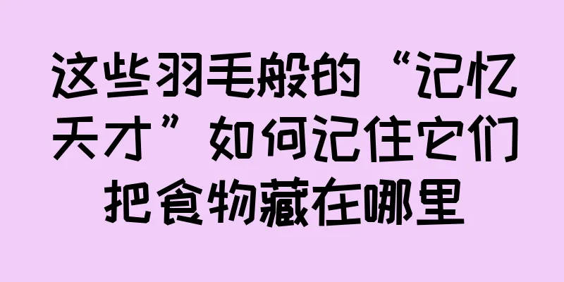 这些羽毛般的“记忆天才”如何记住它们把食物藏在哪里